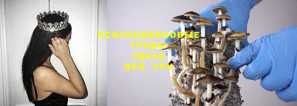 СК Новозыбков
