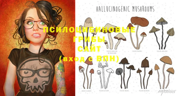 PSILOCYBIN Баксан