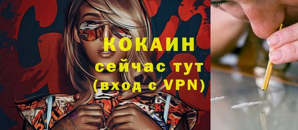 spice Беломорск