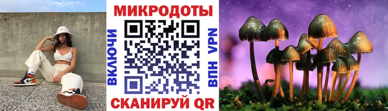 дарнет шоп  Кораблино  Псилоцибиновые грибы Psilocybe 